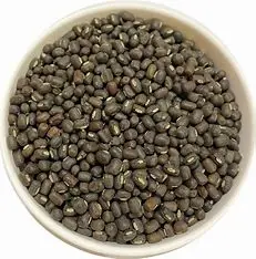 Urad