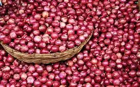 Onion